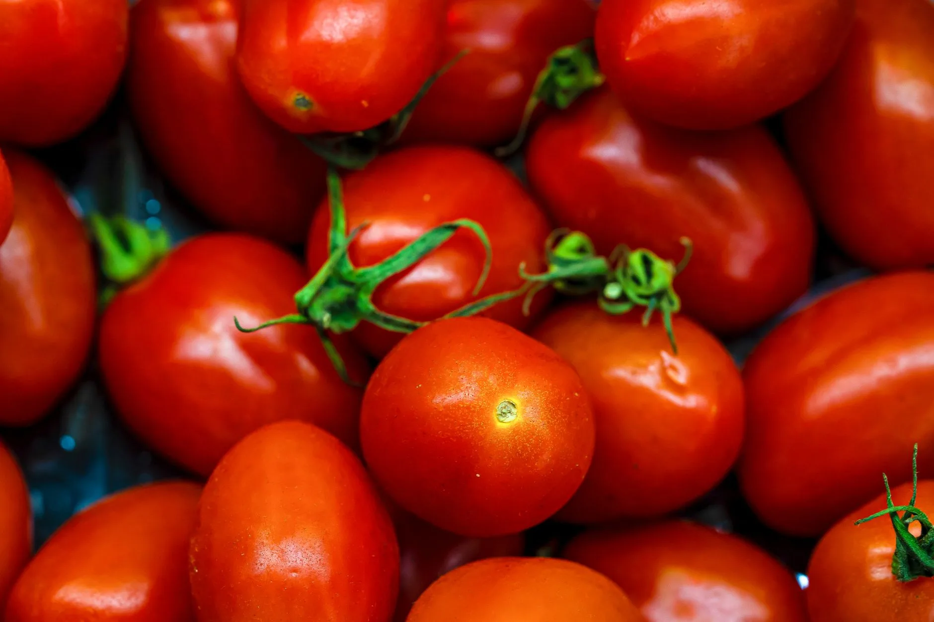 Técnica pomodoro — Foto profissional grátis de agricultura, alegre, alimento