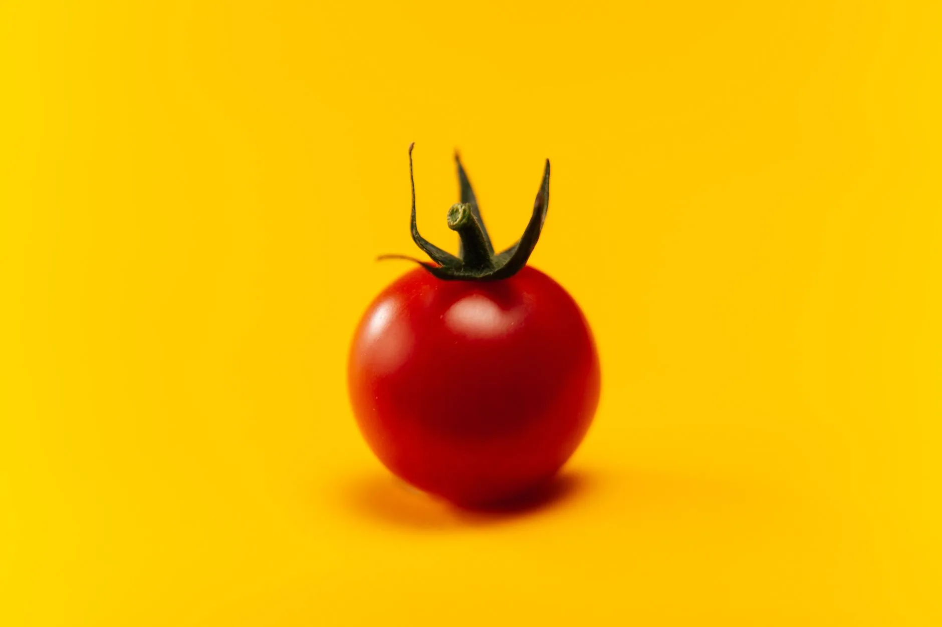 Técnica pomodoro — Close-up de um tomate cereja fresco em um fundo amarelo brilhante